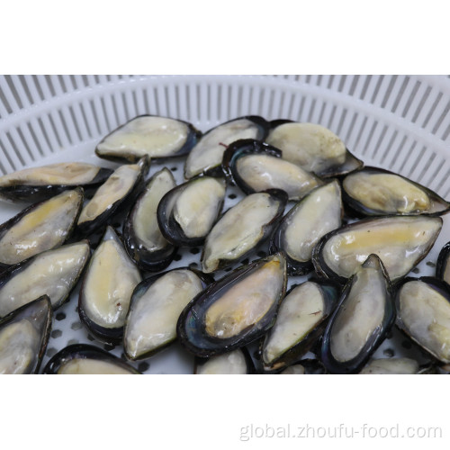 China Hot Sale Frozen Half Shell Green Mussel Supplier